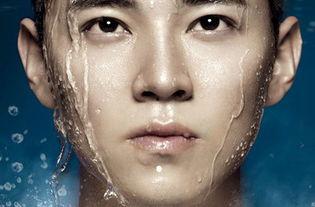 演员高歌,演艺生涯的璀璨星光